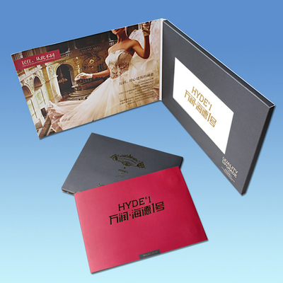 1024 * 600 Resolution LCD Video Card 7 ” With Vista / Windows 7 Operation System