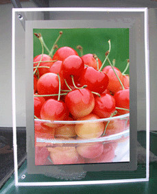 Beautiful Household Acrylic Photo Frames Brochure Holder 120*2200*200mm