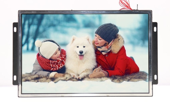 Low cost 15 inch frameless LCD video screen for shelves/display racks